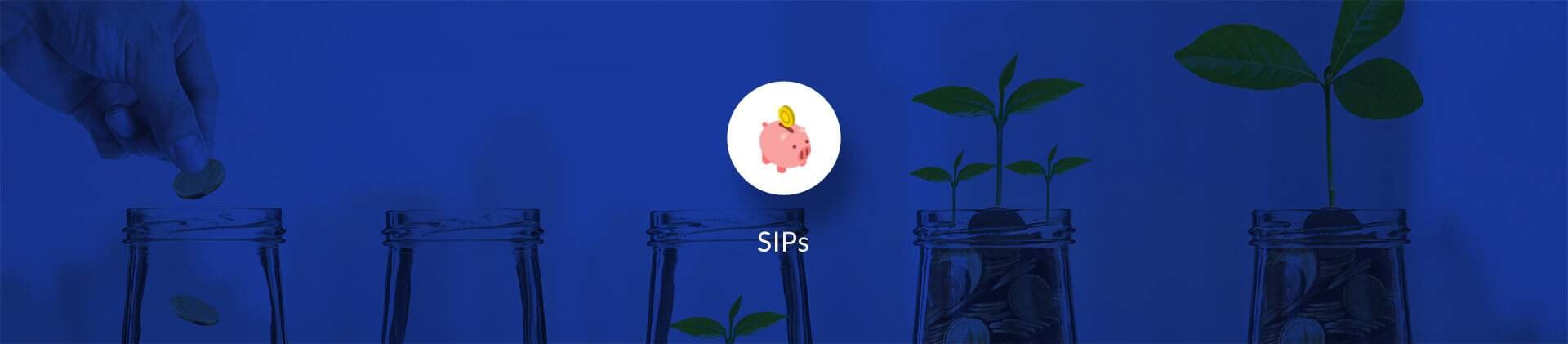 SIPs