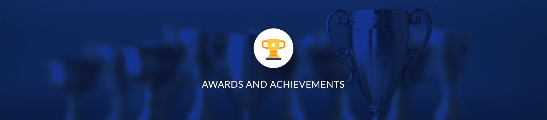 Awards & Achievements